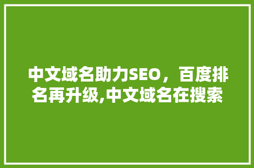中文域名助力SEO，百度排名再升级,中文域名在搜索引擎优化中的优势