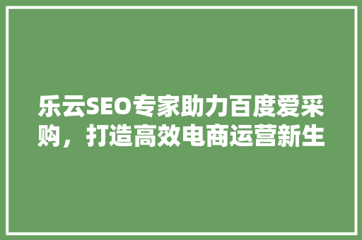 乐云SEO专家助力百度爱采购，打造高效电商运营新生态