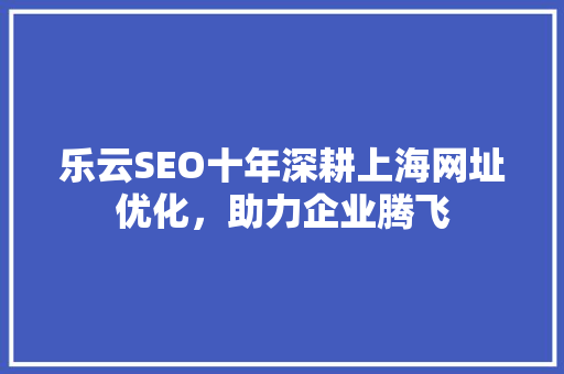 乐云SEO十年深耕上海网址优化，助力企业腾飞