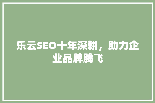 乐云SEO十年深耕，助力企业品牌腾飞