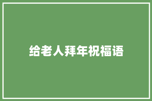 孟津SEO,挖掘区域特色，助力企业互联网营销新突破