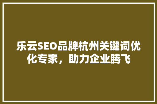 乐云SEO品牌杭州关键词优化专家，助力企业腾飞
