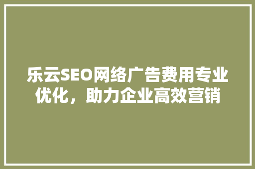 乐云SEO网络广告费用专业优化，助力企业高效营销