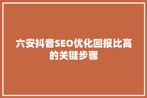 六安抖音SEO优化回报比高的关键步骤