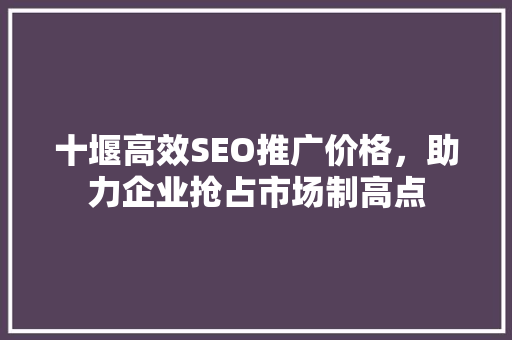 十堰高效SEO推广价格，助力企业抢占市场制高点