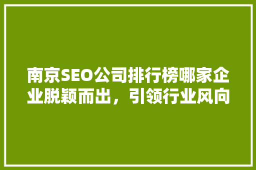 南京SEO公司排行榜哪家企业脱颖而出，引领行业风向标