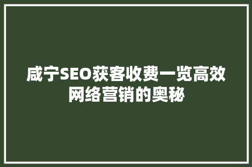 咸宁SEO获客收费一览高效网络营销的奥秘