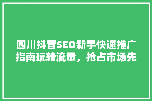四川抖音SEO新手快速推广指南玩转流量，抢占市场先机