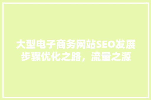 大型电子商务网站SEO发展步骤优化之路，流量之源