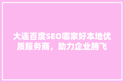 大连百度SEO哪家好本地优质服务商，助力企业腾飞