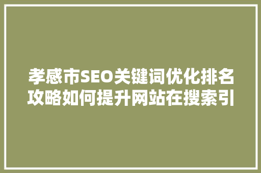 孝感市SEO关键词优化排名攻略如何提升网站在搜索引擎中的排名