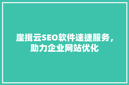 崖揖云SEO软件速捷服务，助力企业网站优化