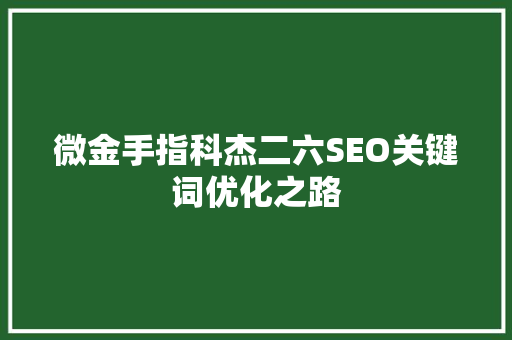 微金手指科杰二六SEO关键词优化之路