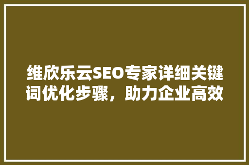 维欣乐云SEO专家详细关键词优化步骤，助力企业高效营销