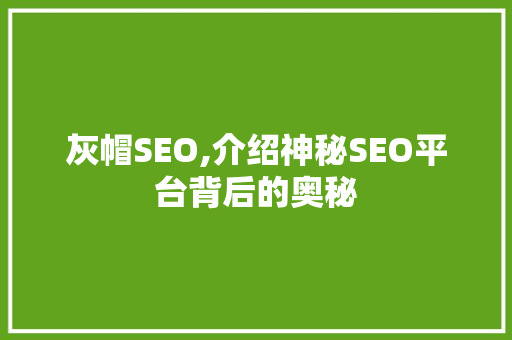 灰帽SEO,介绍神秘SEO平台背后的奥秘