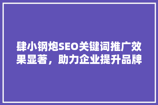 肆小钢炮SEO关键词推广效果显著，助力企业提升品牌知名度