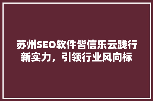苏州SEO软件皆信乐云践行新实力，引领行业风向标