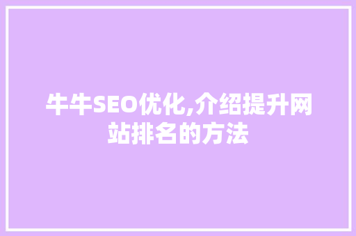 牛牛SEO优化,介绍提升网站排名的方法