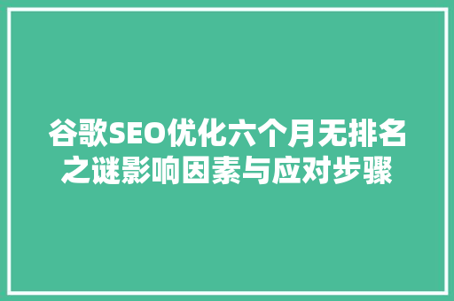 谷歌SEO优化六个月无排名之谜影响因素与应对步骤