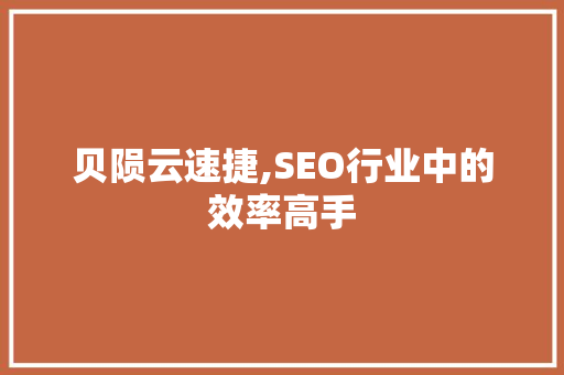 贝陨云速捷,SEO行业中的效率高手