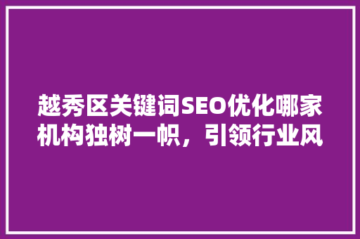 越秀区关键词SEO优化哪家机构独树一帜，引领行业风向标
