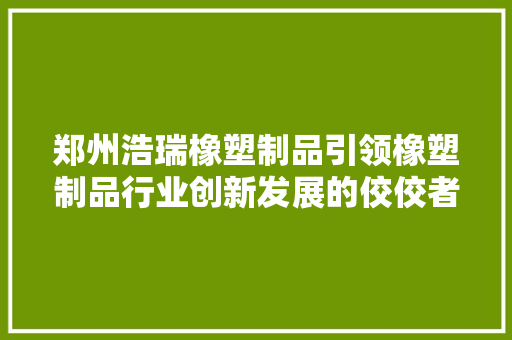 郑州浩瑞橡塑制品引领橡塑制品行业创新发展的佼佼者