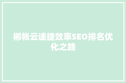 郴帐云速捷效率SEO排名优化之路
