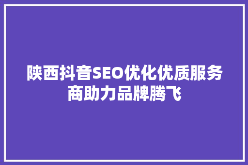 陕西抖音SEO优化优质服务商助力品牌腾飞