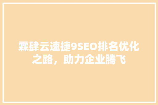 霖肆云速捷9SEO排名优化之路，助力企业腾飞