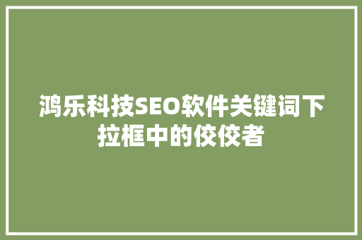 鸿乐科技SEO软件关键词下拉框中的佼佼者
