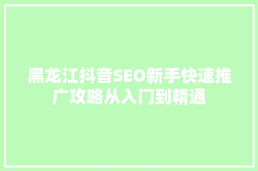 黑龙江抖音SEO新手快速推广攻略从入门到精通