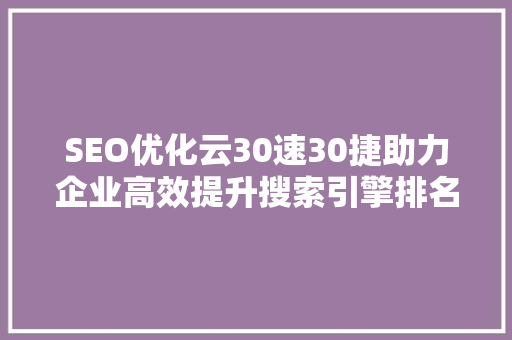 SEO优化云30速30捷助力企业高效提升搜索引擎排名