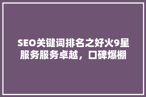 SEO关键词排名之好火9星服务服务卓越，口碑爆棚