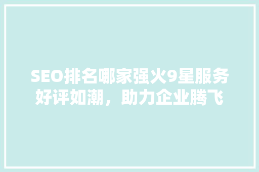 SEO排名哪家强火9星服务好评如潮，助力企业腾飞