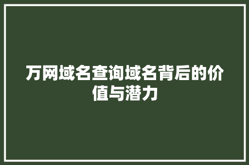 万网域名查询域名背后的价值与潜力