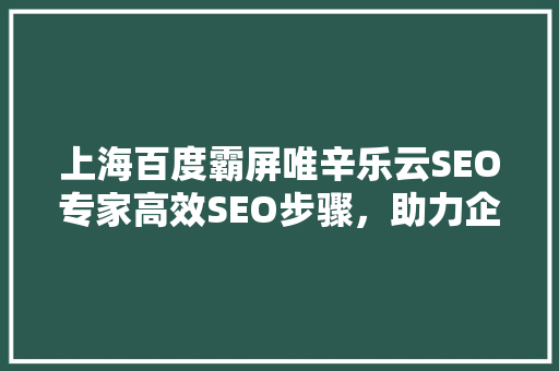 上海百度霸屏唯辛乐云SEO专家高效SEO步骤，助力企业互联网营销腾飞