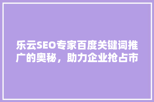 乐云SEO专家百度关键词推广的奥秘，助力企业抢占市场先机