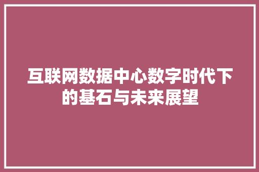 互联网数据中心数字时代下的基石与未来展望