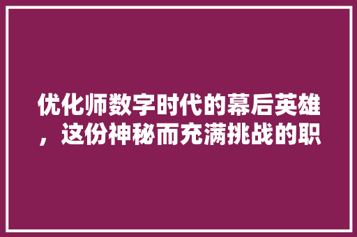 优化师数字时代的幕后英雄，这份神秘而充满挑战的职业