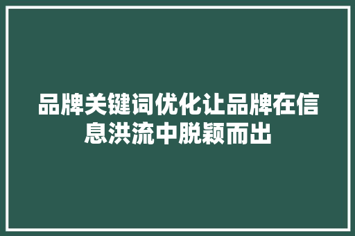 品牌关键词优化让品牌在信息洪流中脱颖而出