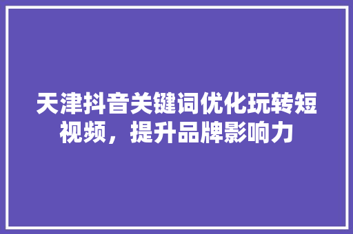 天津抖音关键词优化玩转短视频，提升品牌影响力