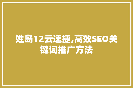 姓岛12云速捷,高效SEO关键词推广方法