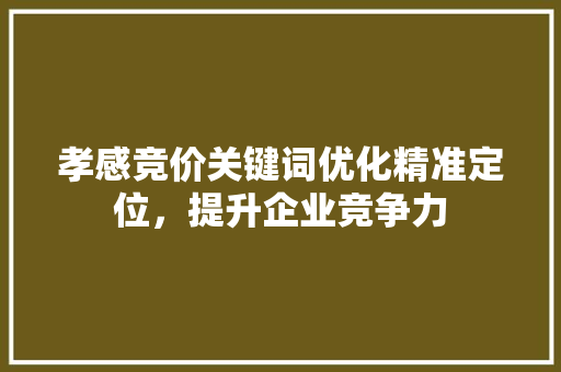 孝感竞价关键词优化精准定位，提升企业竞争力