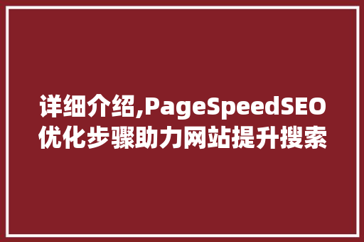 详细介绍,PageSpeedSEO优化步骤助力网站提升搜索引擎排名