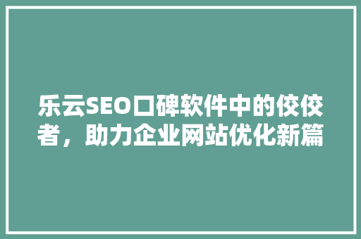 乐云SEO口碑软件中的佼佼者，助力企业网站优化新篇章