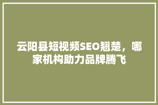 云阳县短视频SEO翘楚，哪家机构助力品牌腾飞