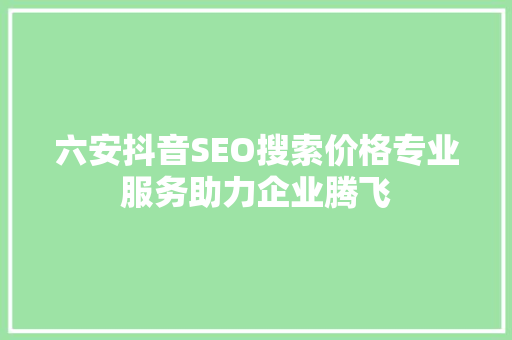 六安抖音SEO搜索价格专业服务助力企业腾飞
