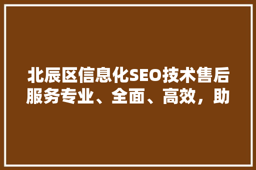 北辰区信息化SEO技术售后服务专业、全面、高效，助力企业腾飞