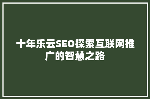 十年乐云SEO探索互联网推广的智慧之路