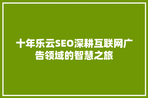 十年乐云SEO深耕互联网广告领域的智慧之旅